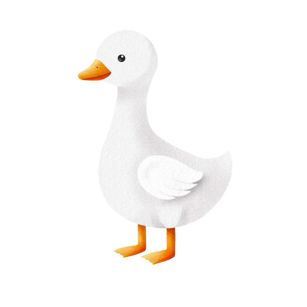 Bügelbild Ente, Pekingente, Gans