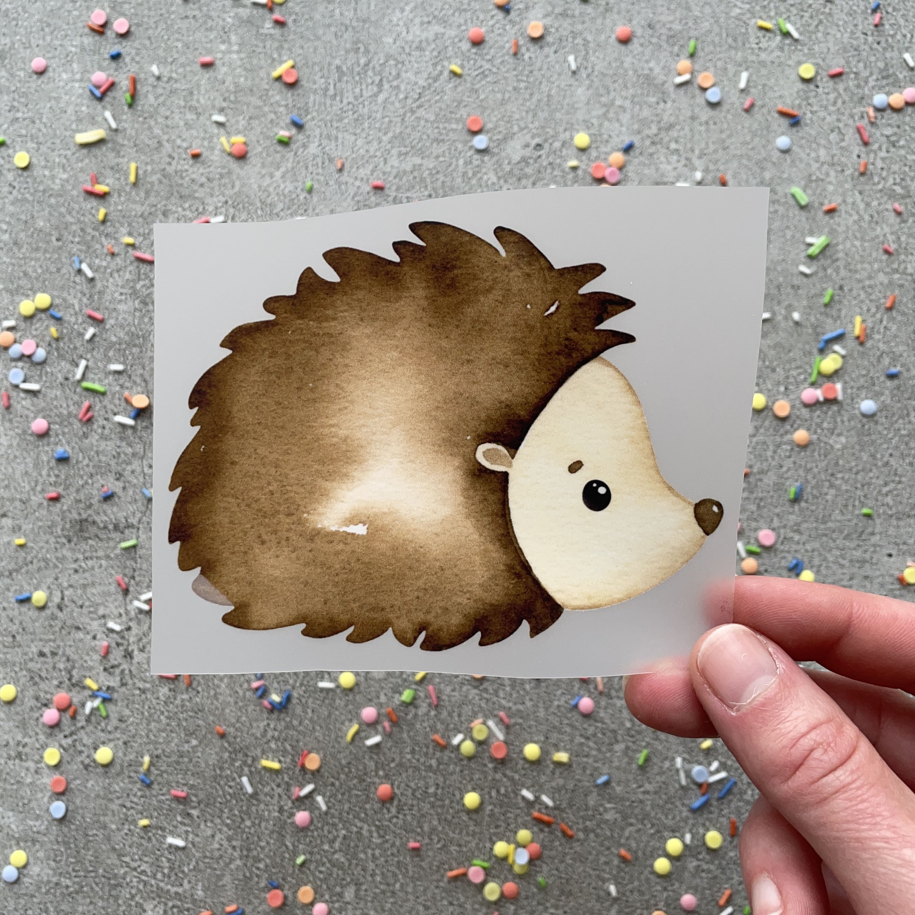 Bügelbild Igel