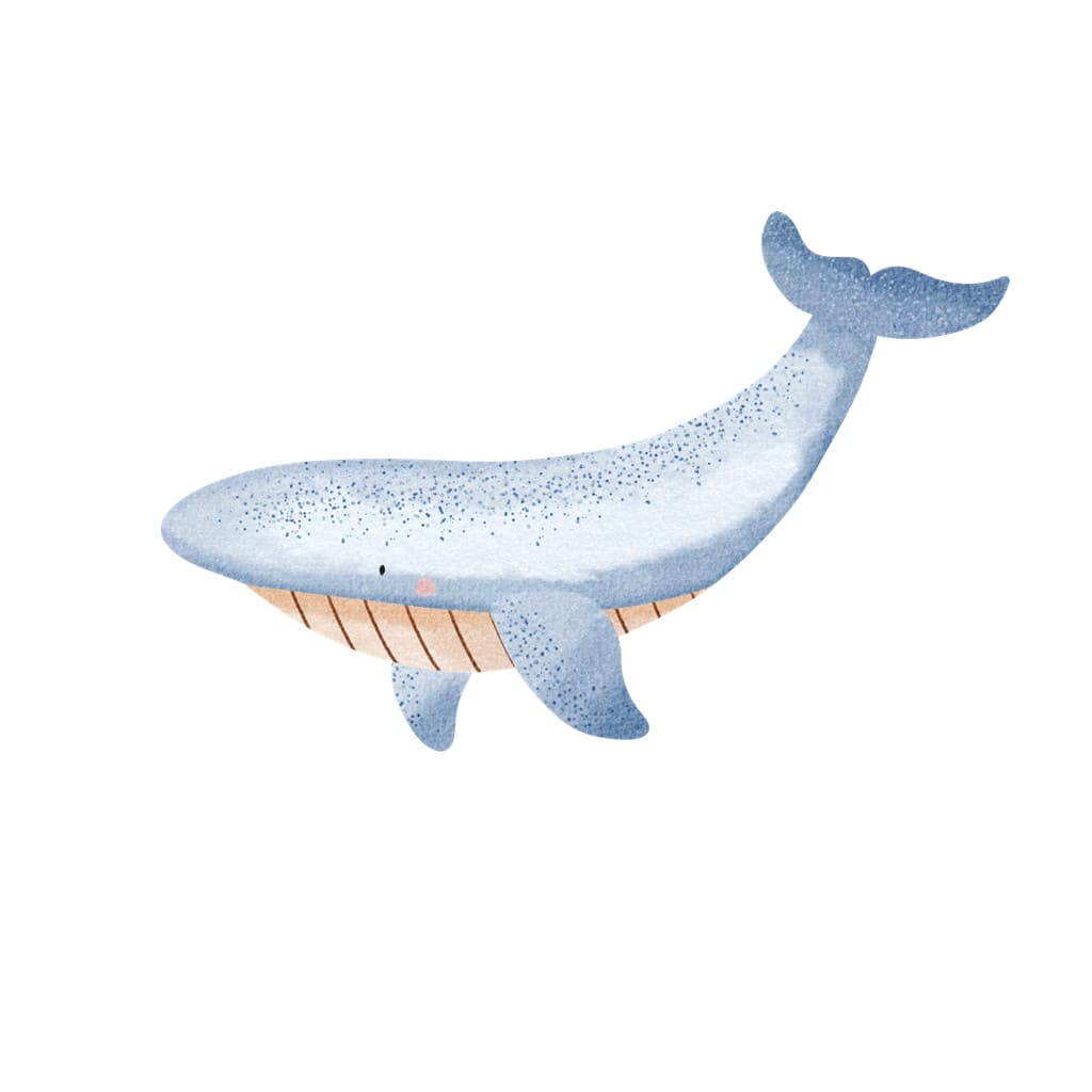 Bügelbild Blauwal Willi