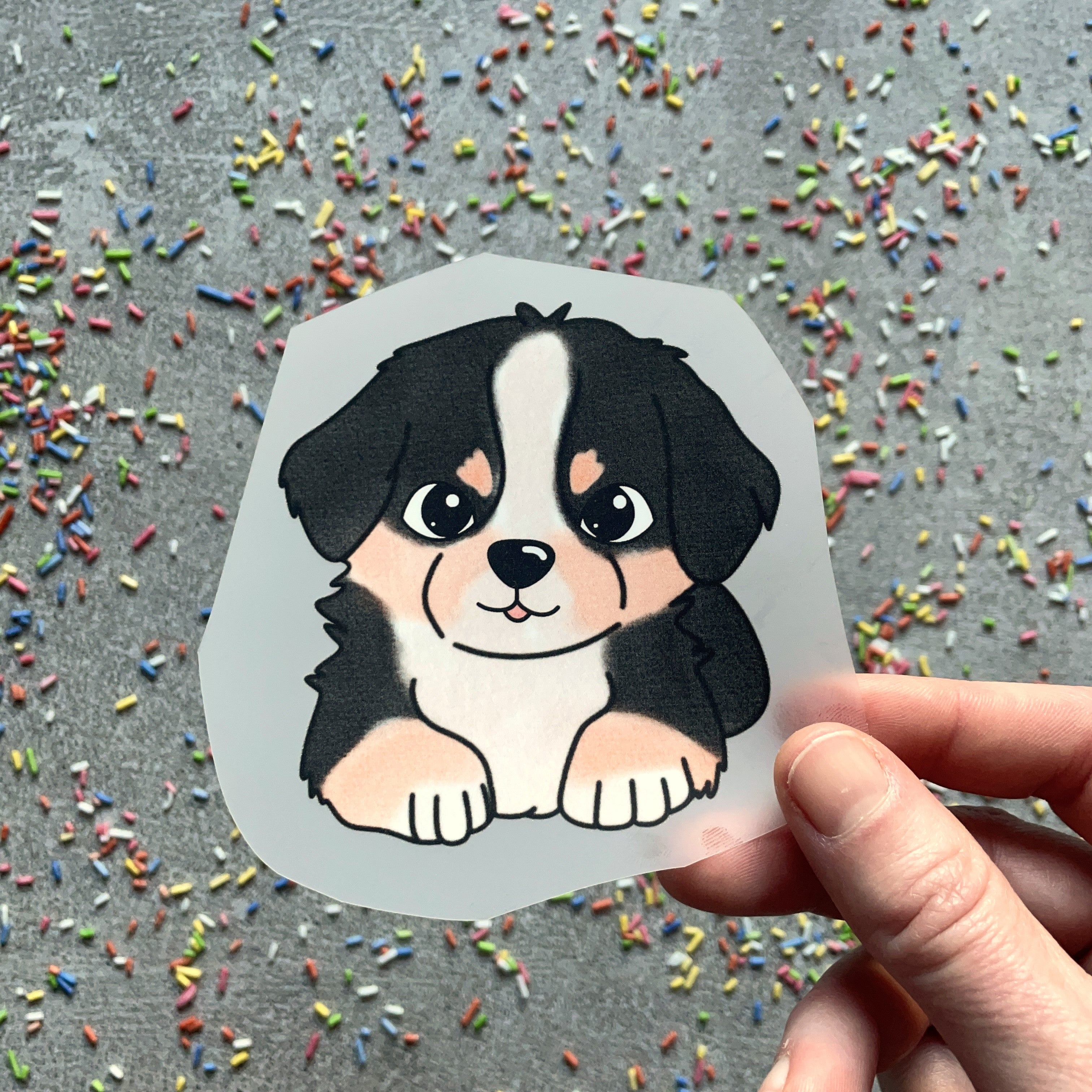 Bügelbild Berner Sennenhund Benno