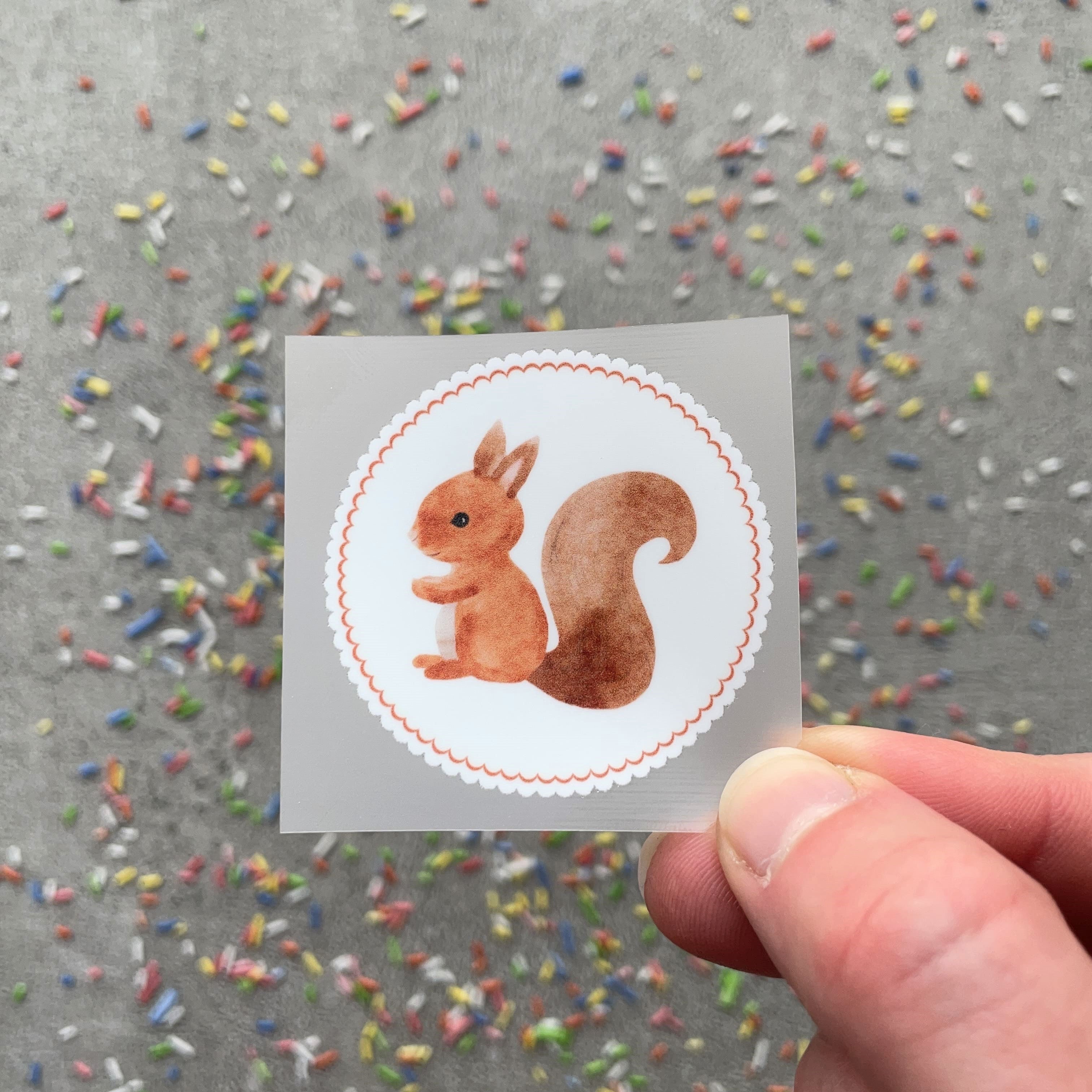 Bügelbild Eichhörnchen Klassenlogos