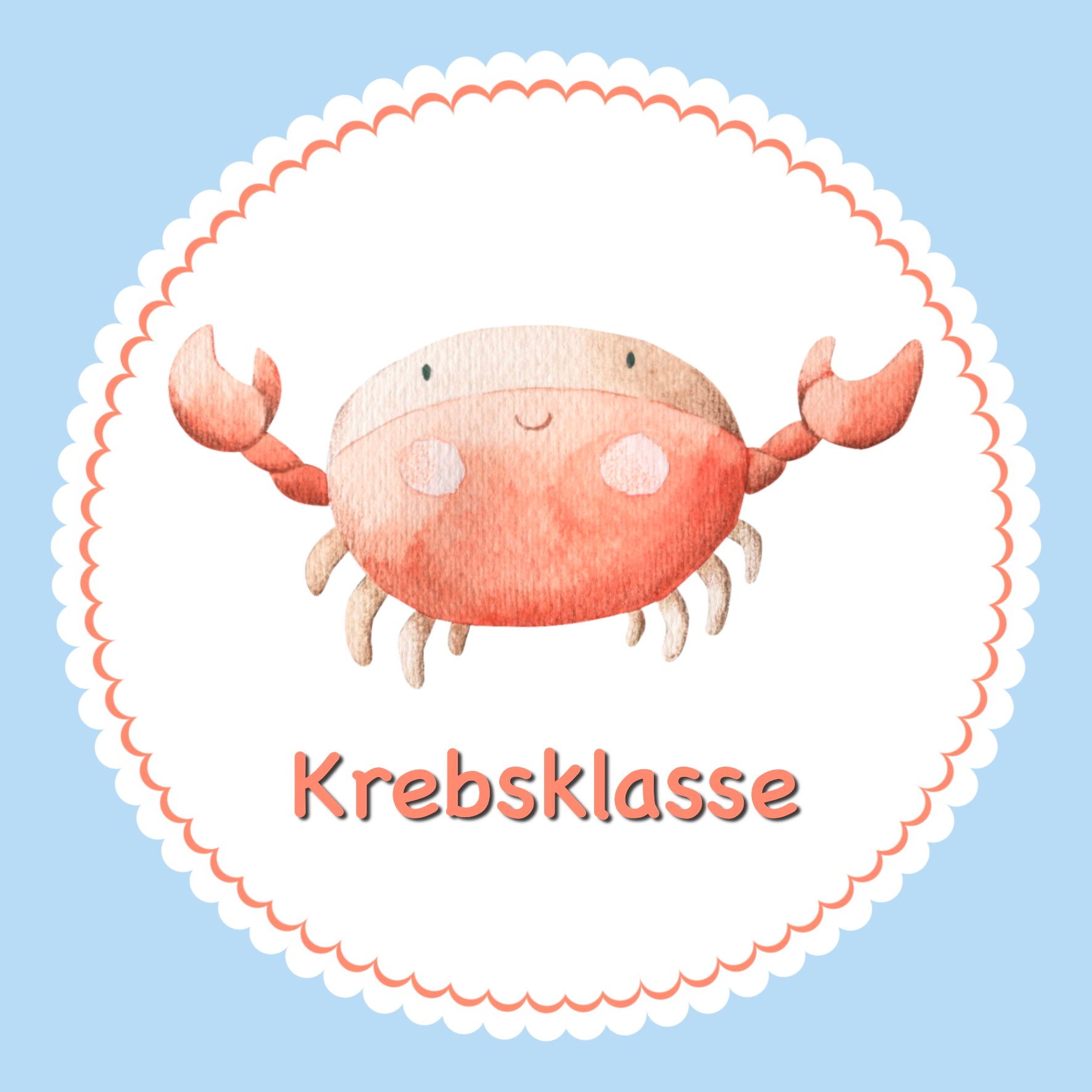 Bügelbild Krebs Krabbe Klassenlogos