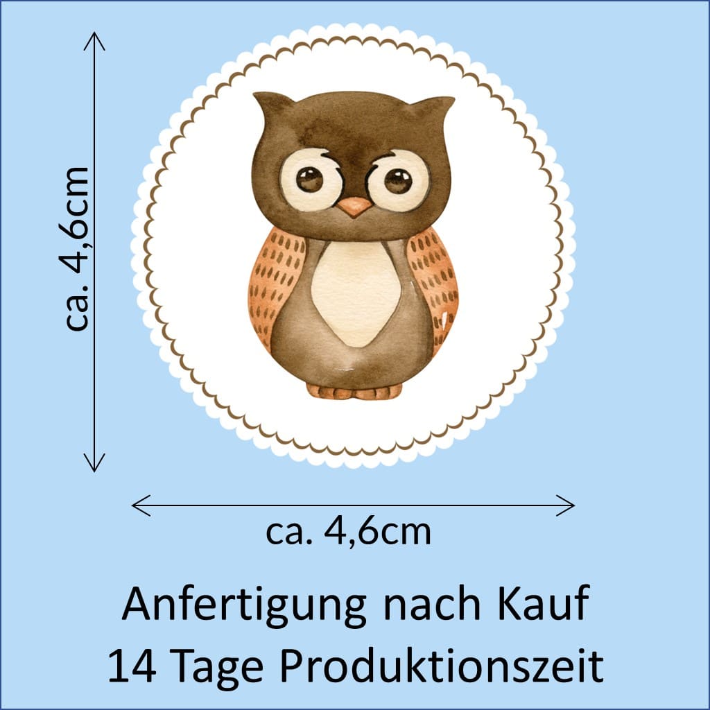 Bügelbild Eule Klassenlogos