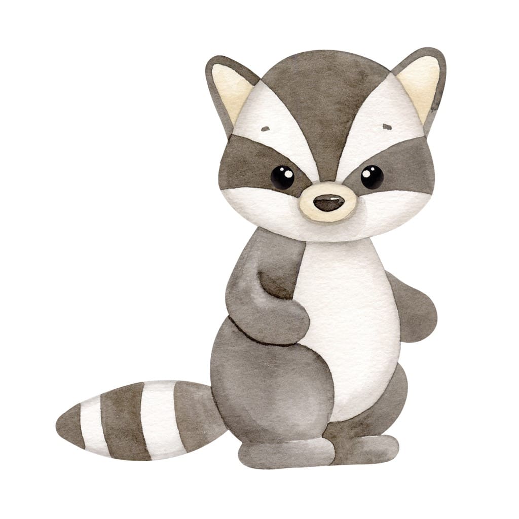 Bügelbild Waschbär