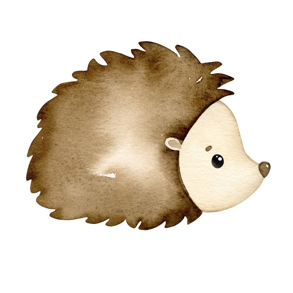 Bügelbild Igel