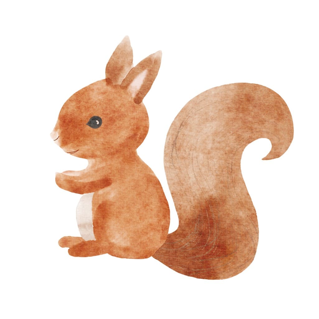 Bügelbild Eichhörnchen Emil