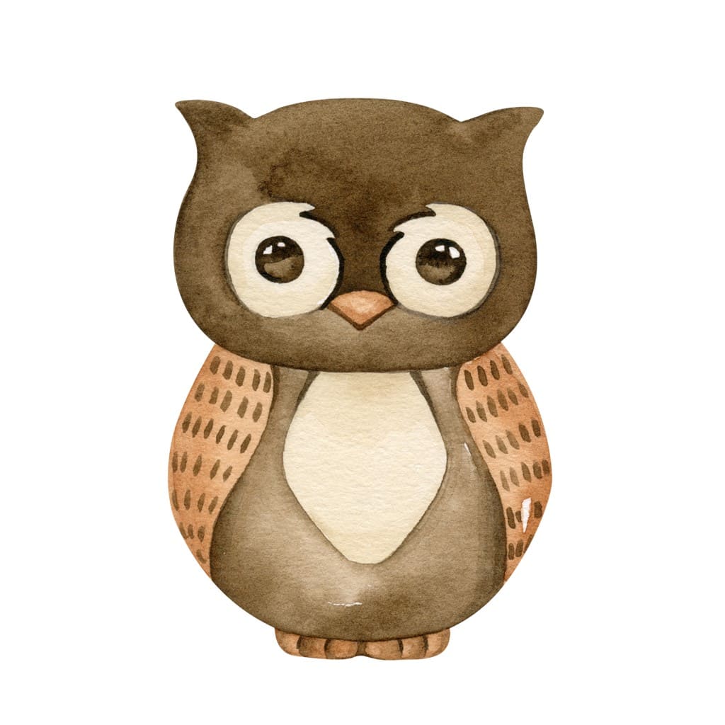 Bügelbild Eule Edith