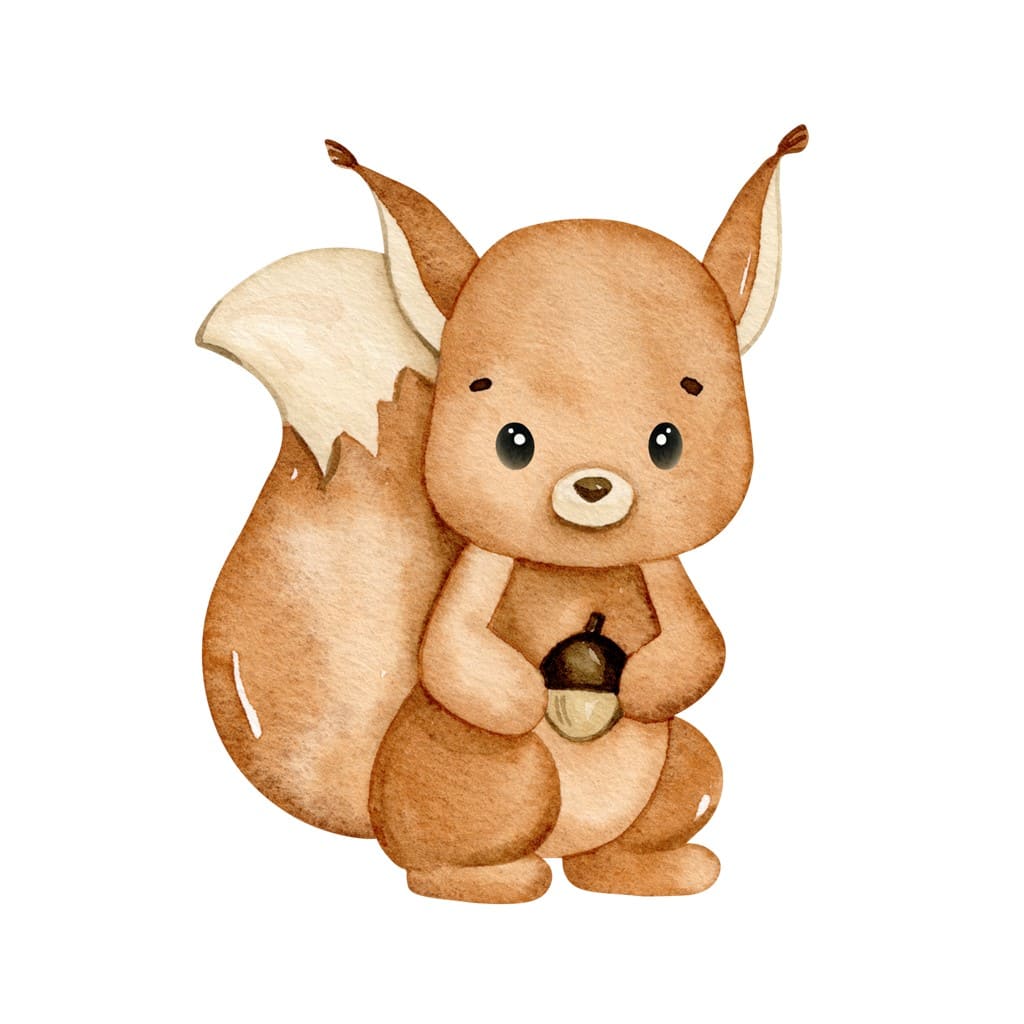 Bügelbild Eichhörnchen Edda