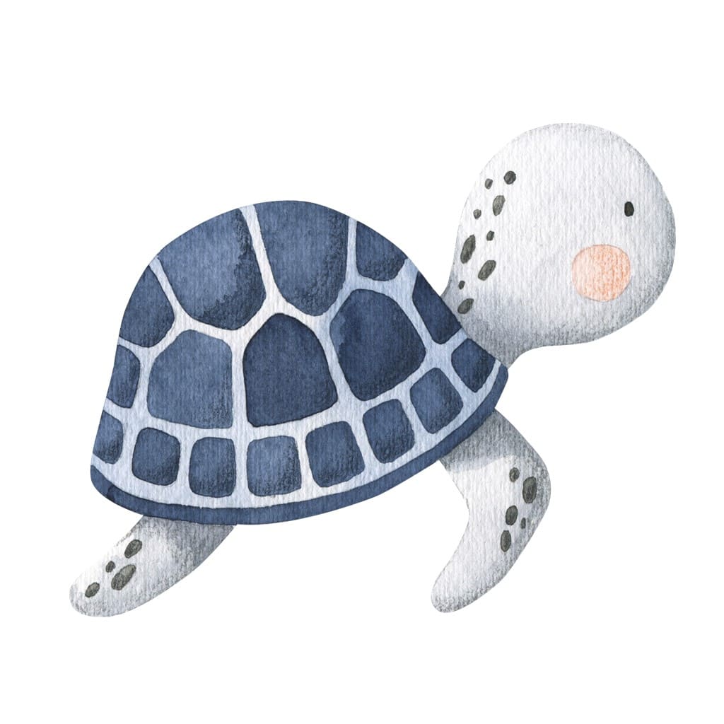 Bügelbild Schildkröte