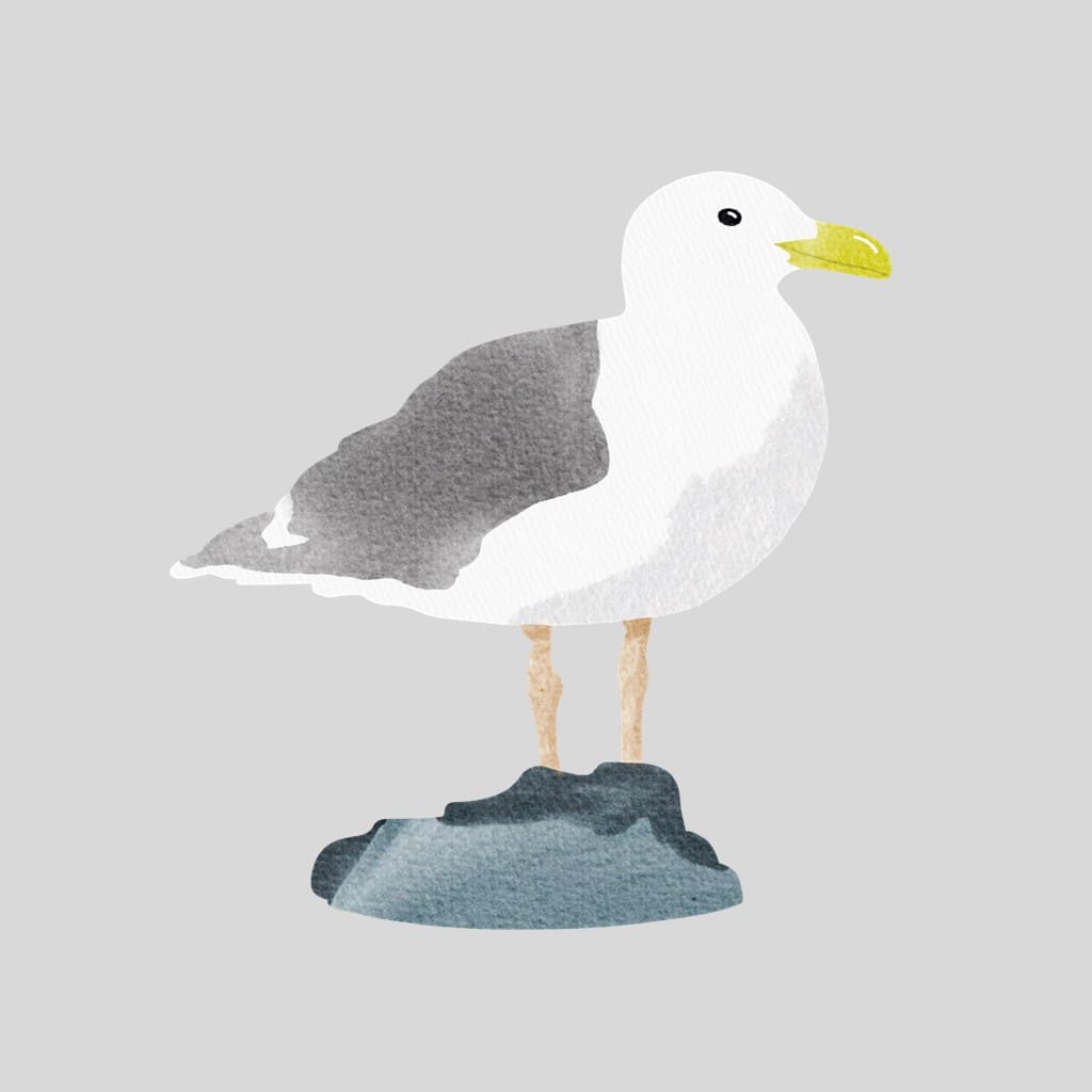 Bügelbild Möwe Martha auf einem Stein