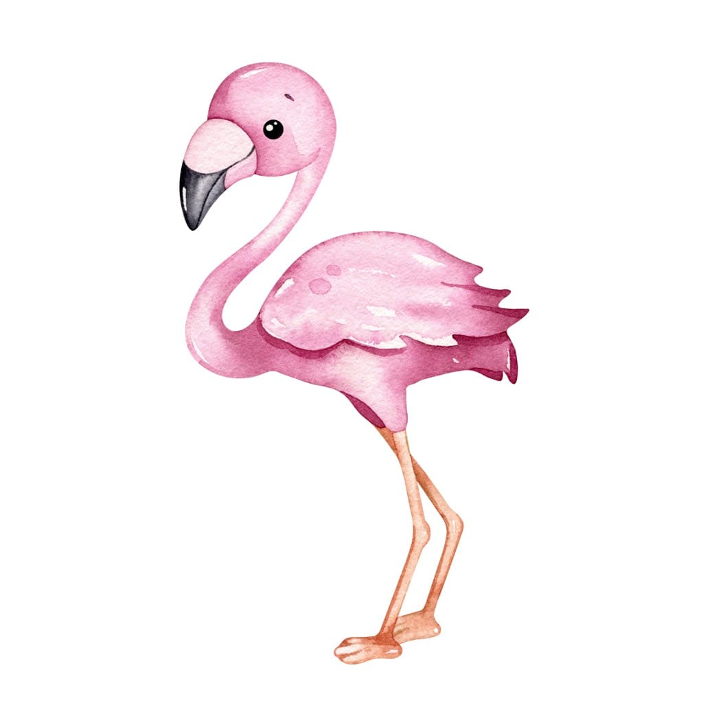 Bügelbild Flamingo Frida