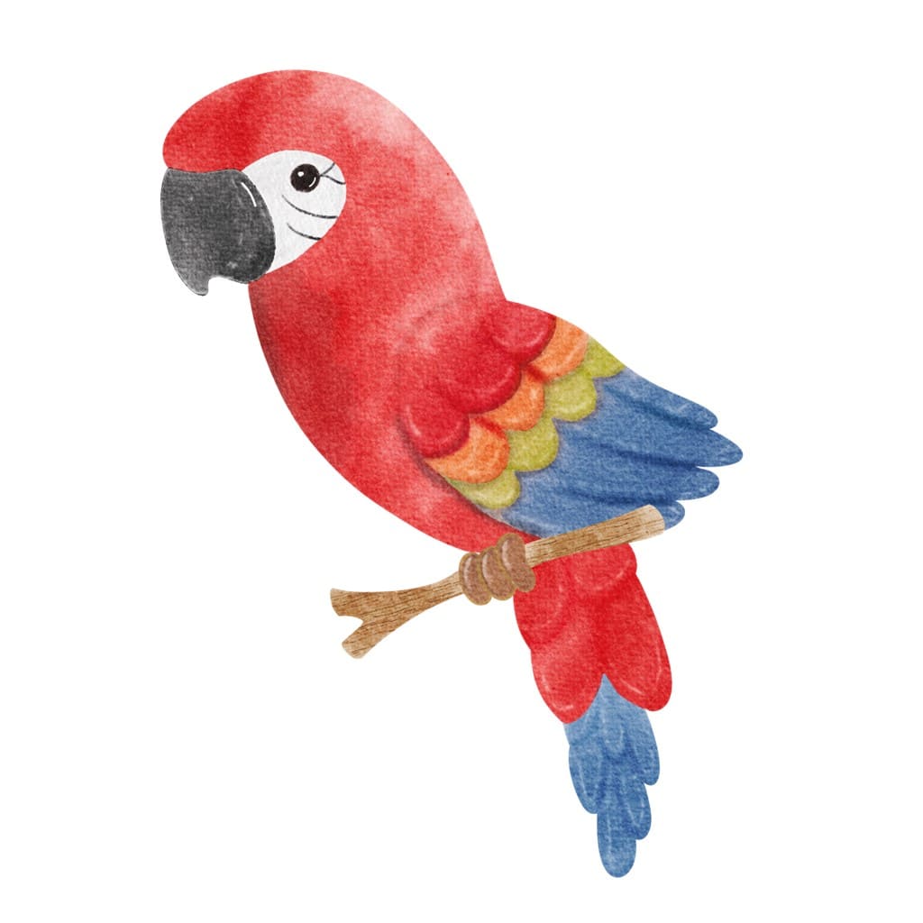 Bügelbild Papagei Peter