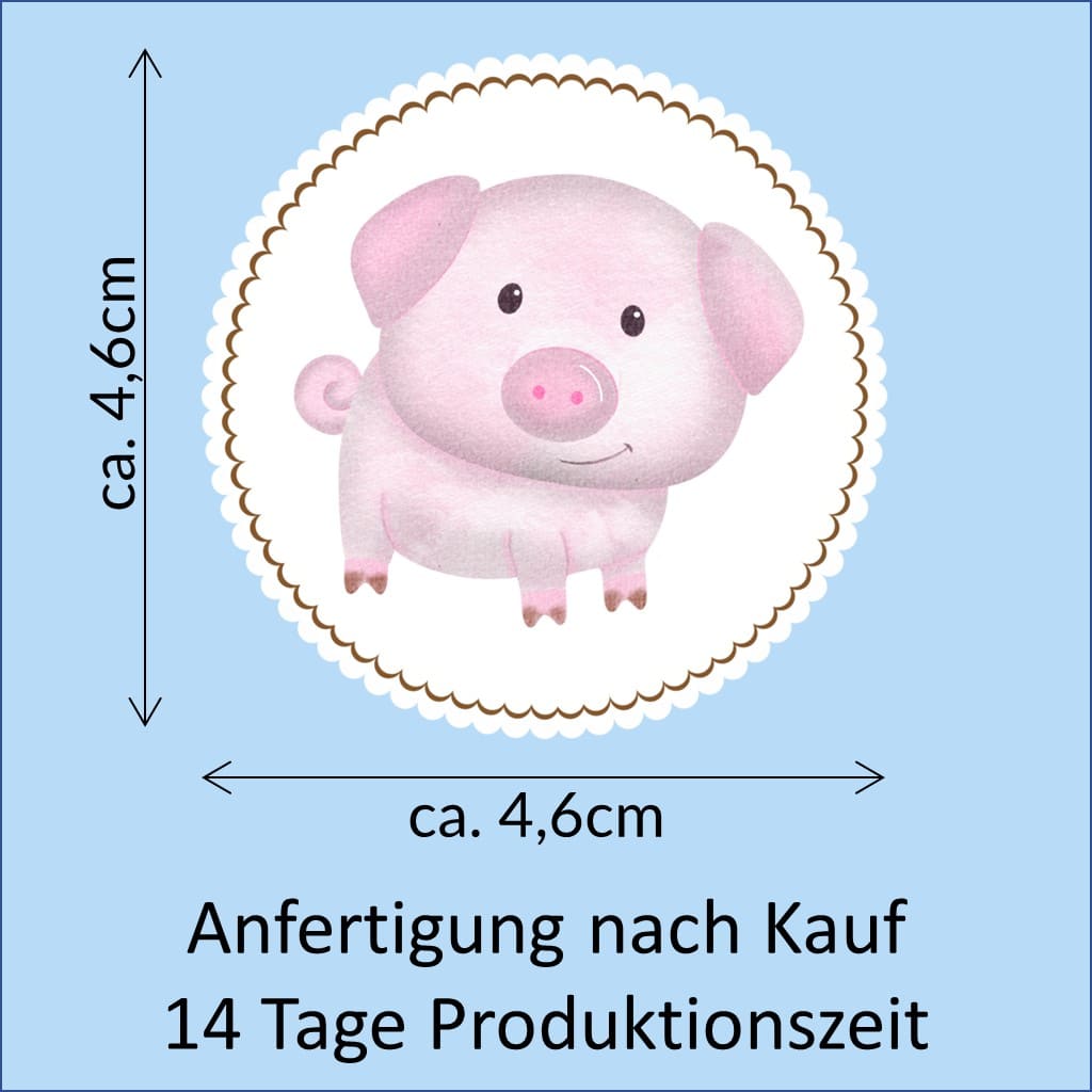 Bügelbild Ferkel Klassenlogos