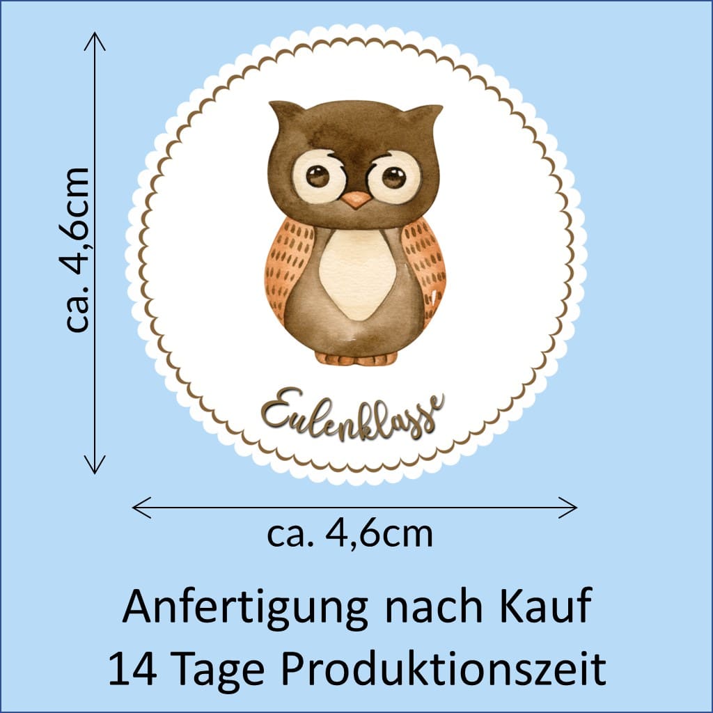 Bügelbild Eule Klassenlogos