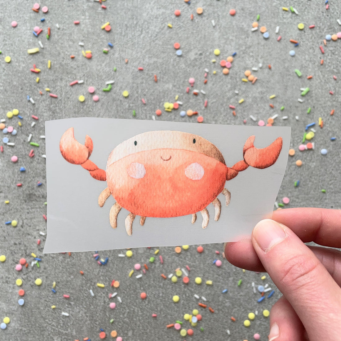 Bügelbild Krebs Kerstin