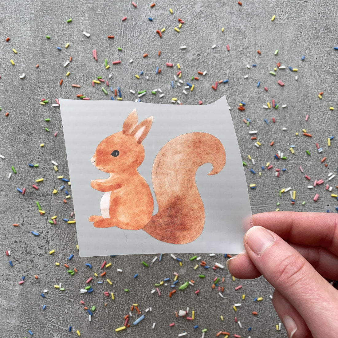 Bügelbild Eichhörnchen Emil