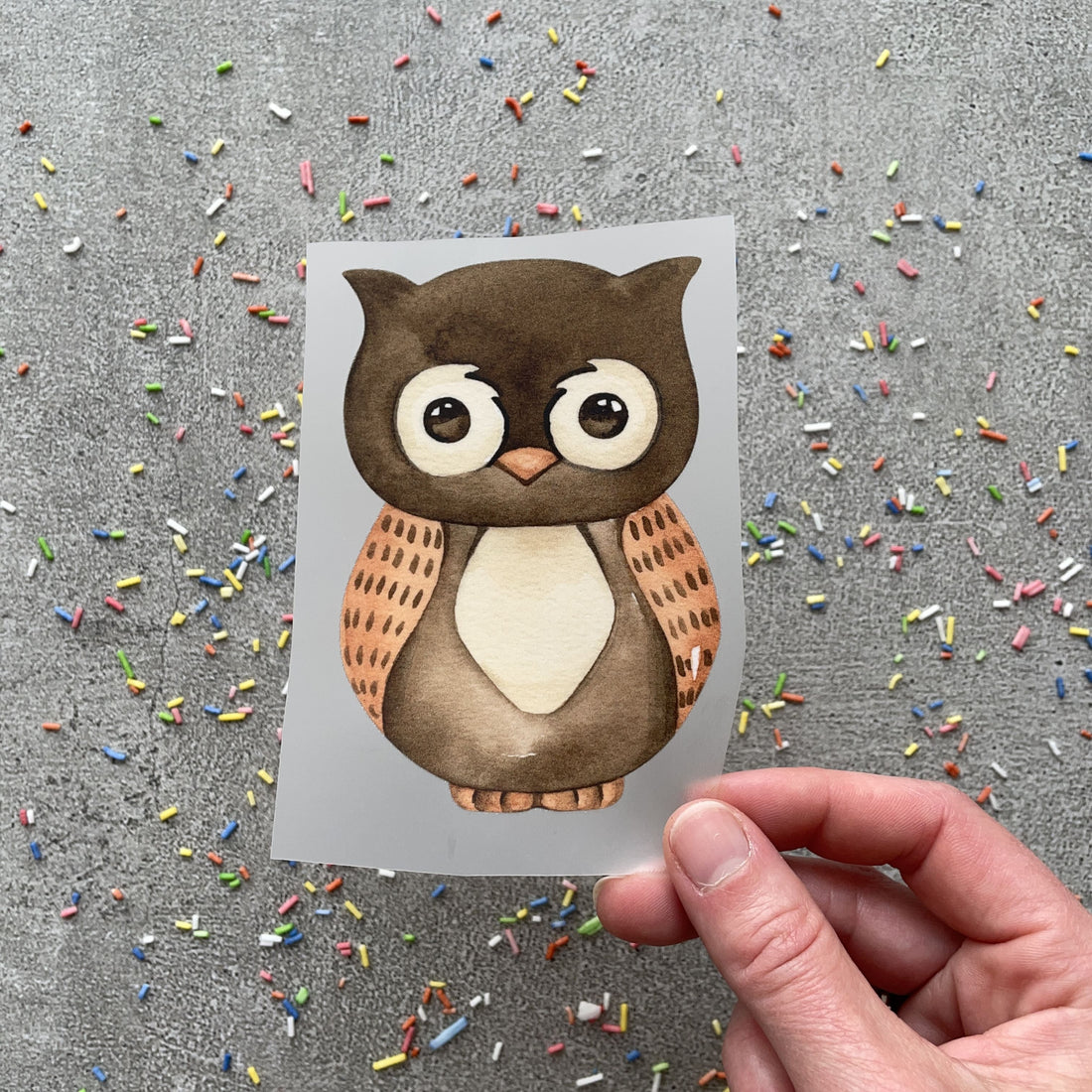 Bügelbild Eule Edith