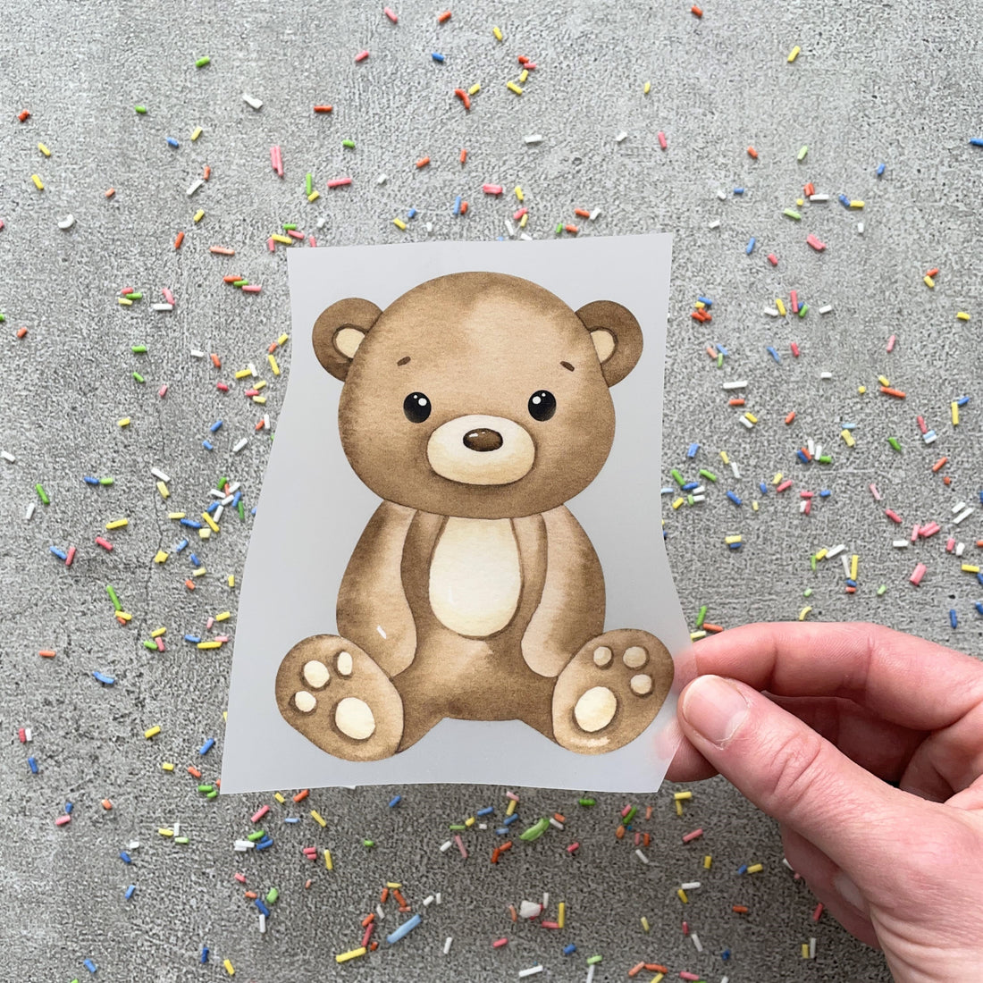 Bügelbild Bär Bruno