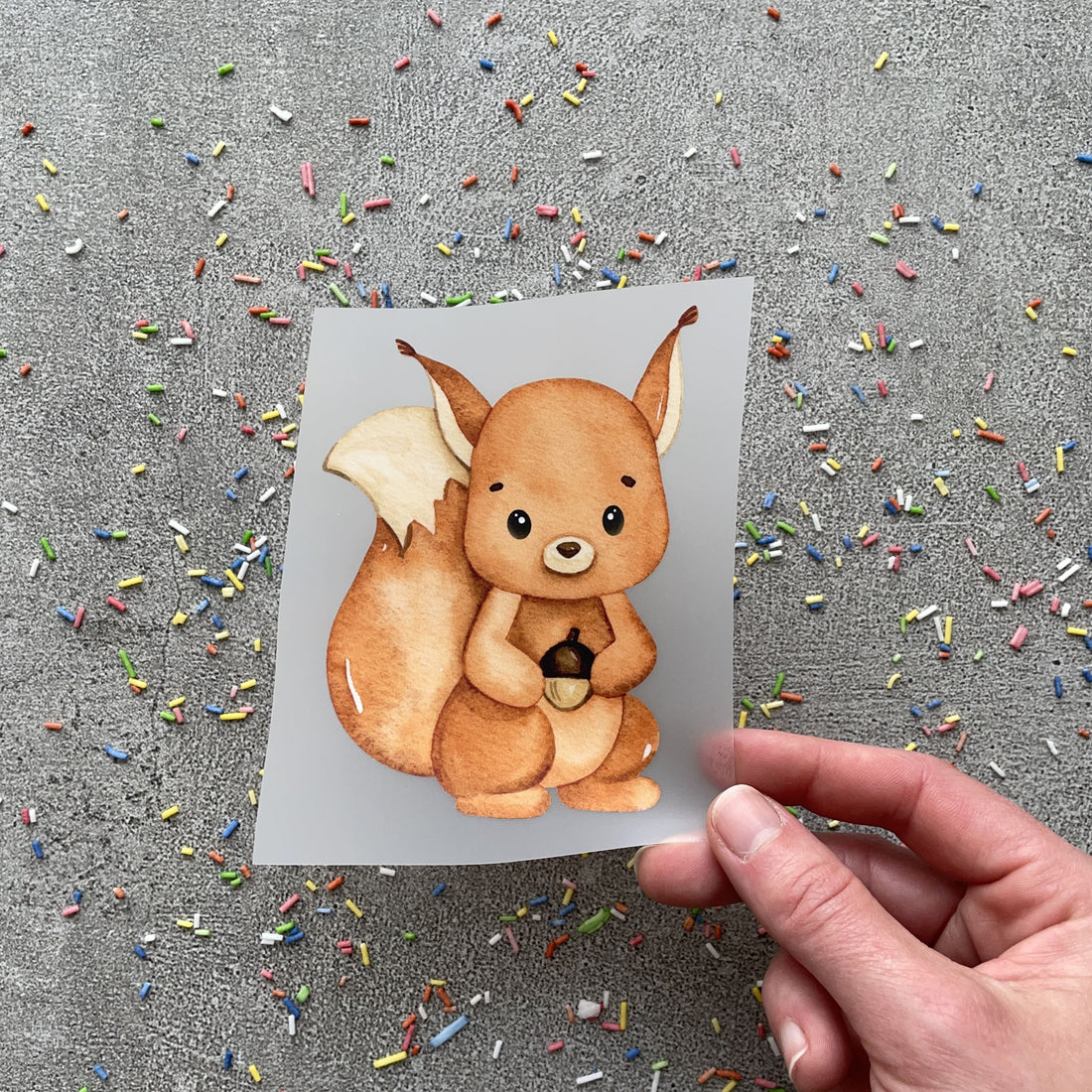 Bügelbild Eichhörnchen Edda