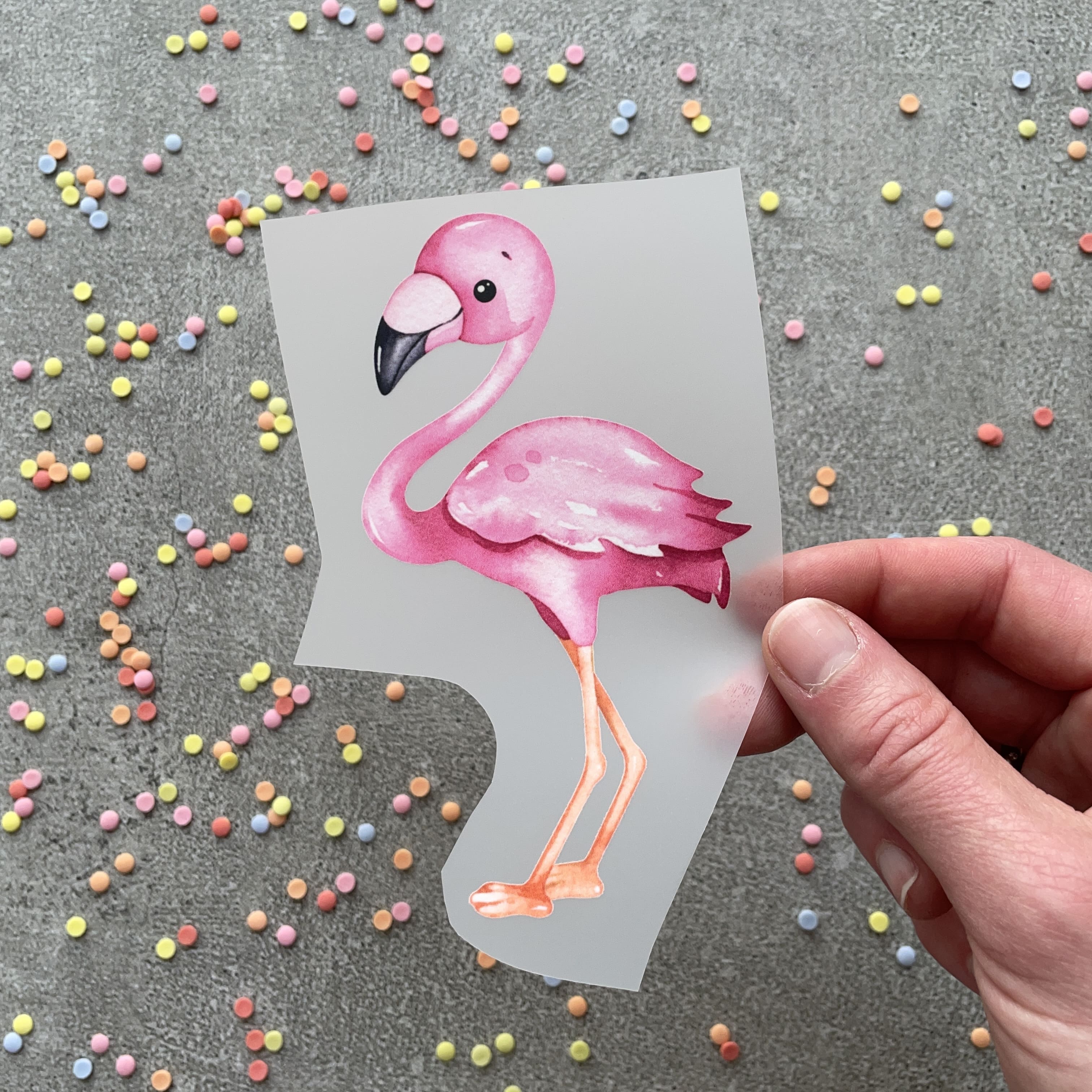 Bügelbild Flamingo Frida