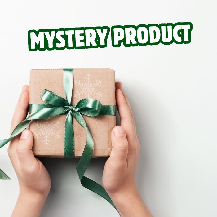 Bügelbild Überaschungsbox