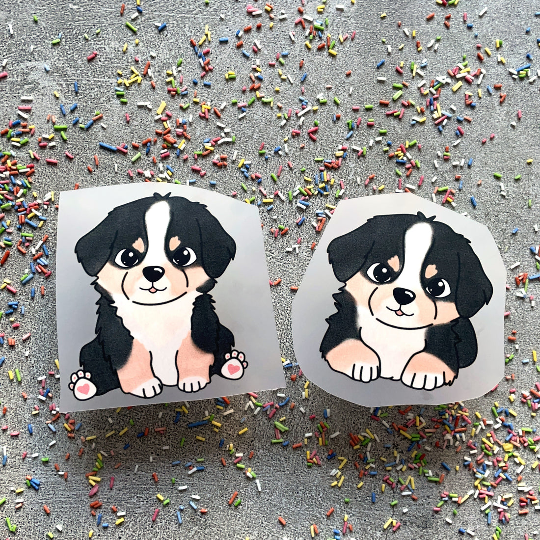 Bügelbild Berner Sennenhund Benno