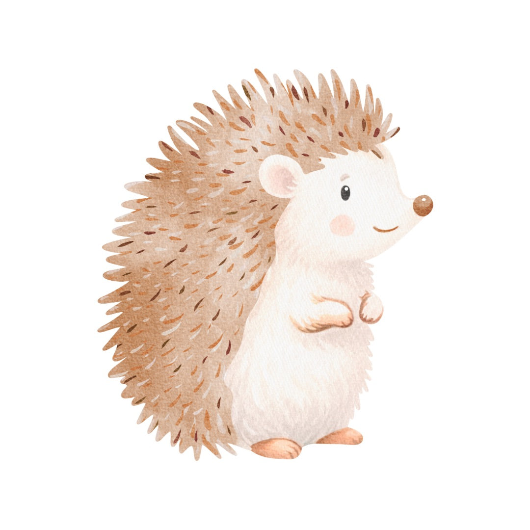 Bügelbild Igel