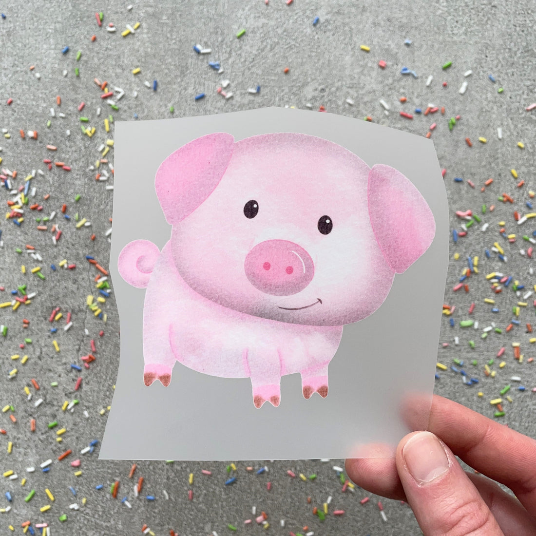 Bügelbild Ferkel Fred